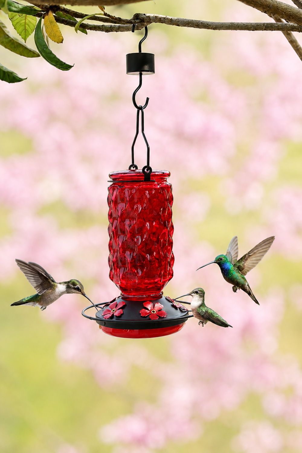 Red Meadowa feeder