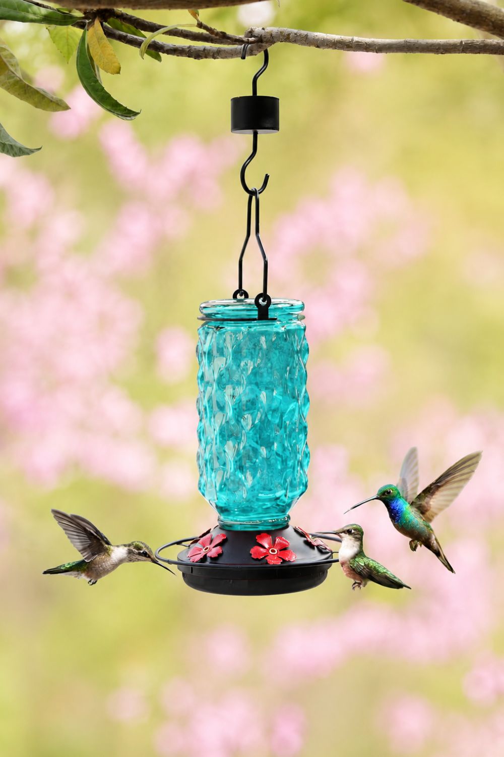 Blue Meadowa feeder