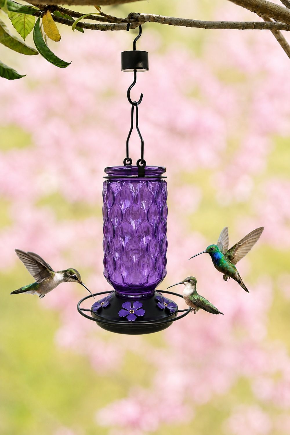 Purple Meadowa feeder