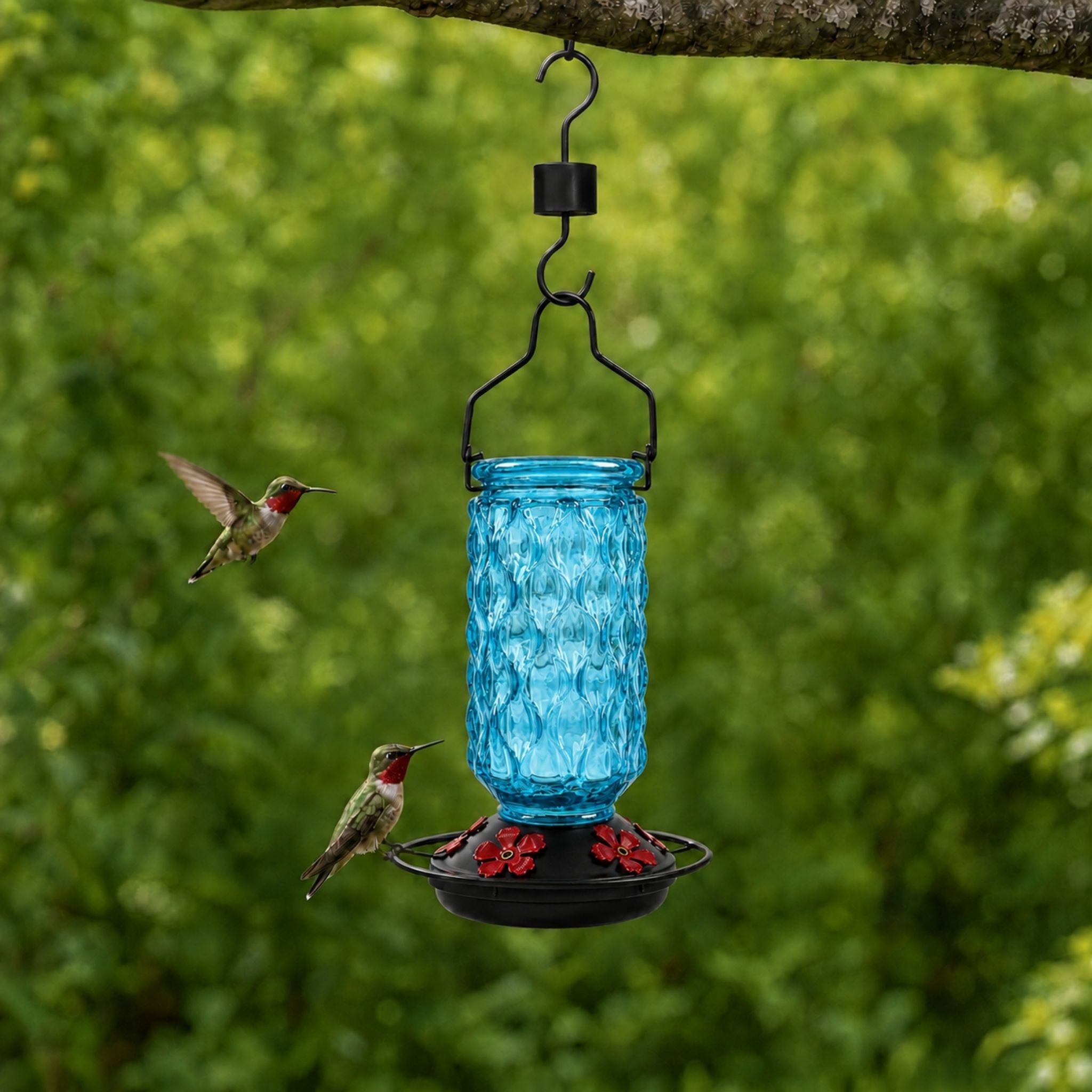 Blue Meadowa Glass Feeder in a green backyard