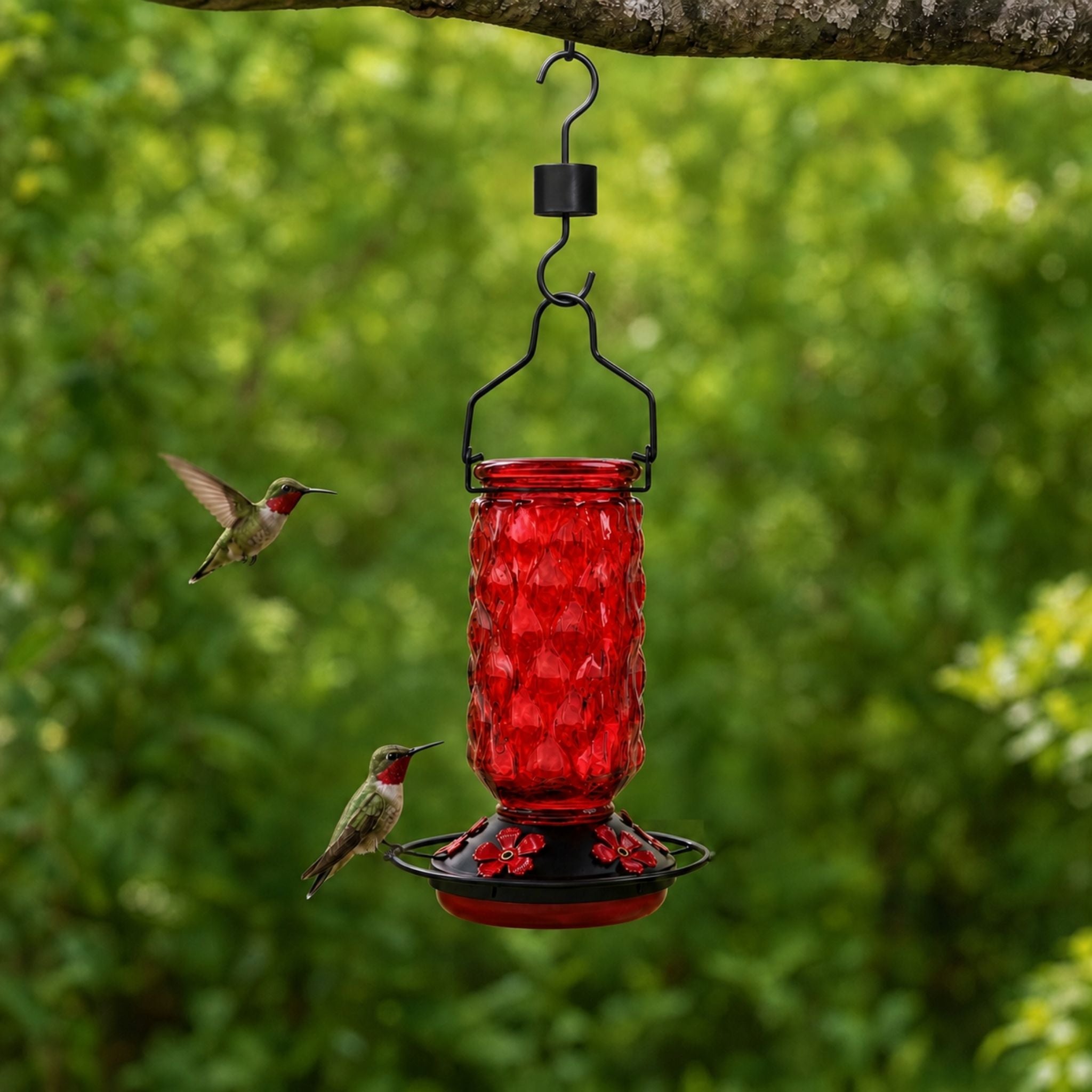 Red Meadowa Glass Hummingbird Feeder