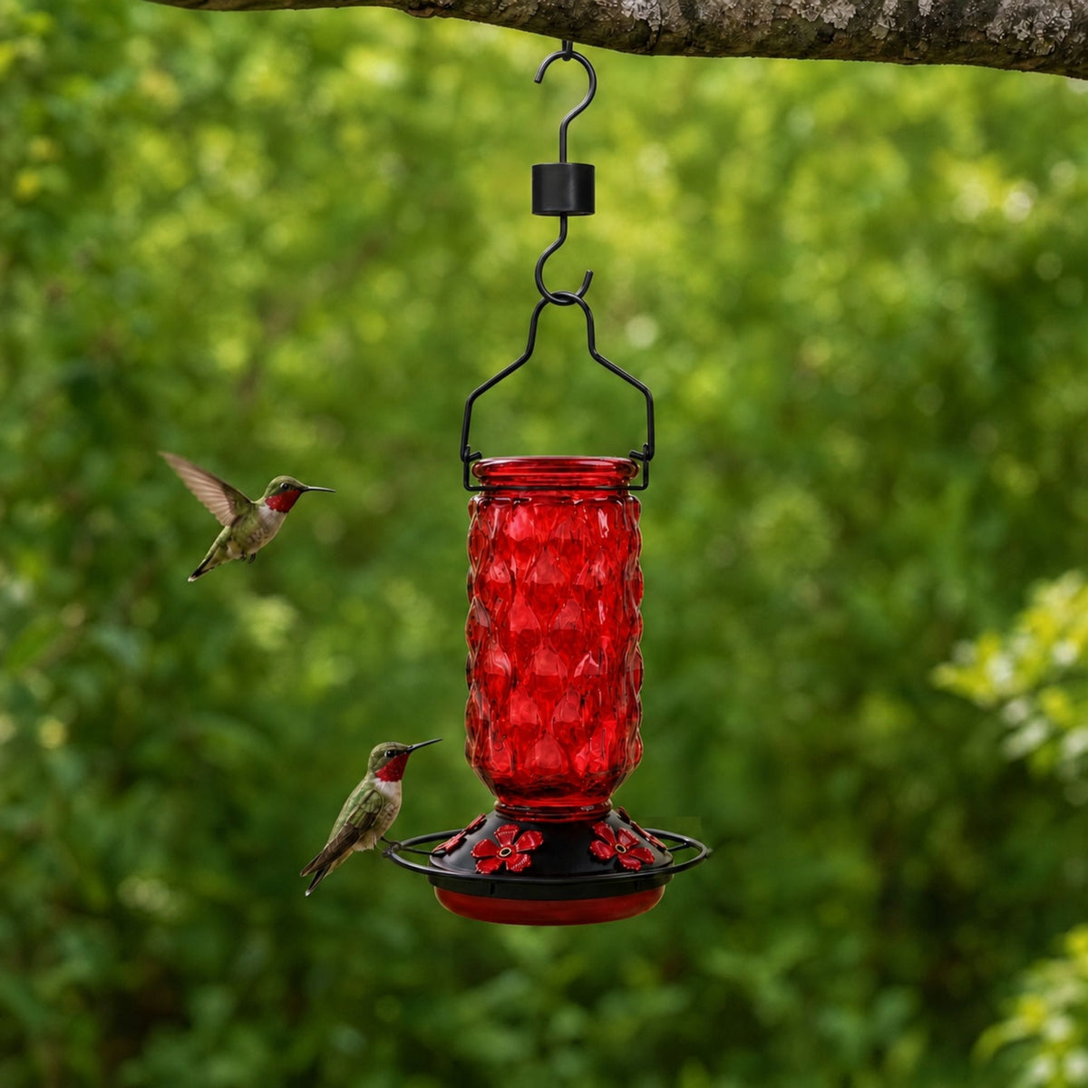 Meadowa Glass Hummingbird Feeder